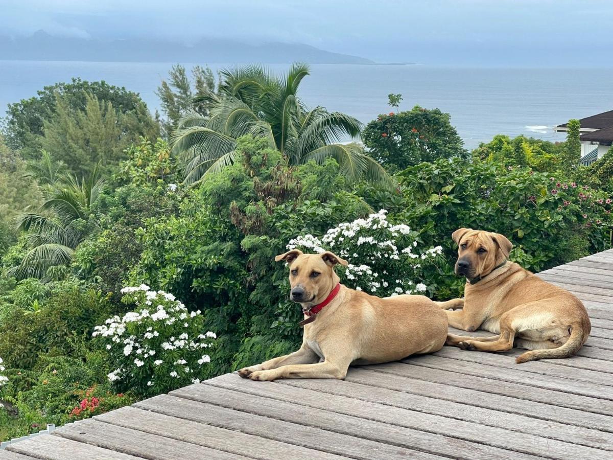 Jolie Maison Vue Ocean Et Moorea Punaauia  Buitenkant foto